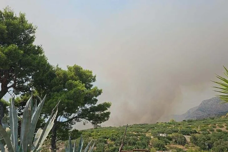 Hrvatska požar Tučepi Foto: Dalmacija Danas