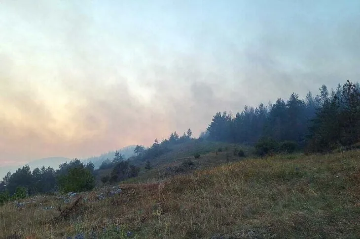 Požar Poljice/ Srna