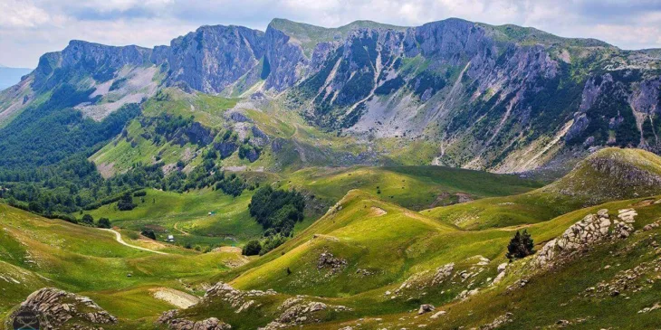 Zelengora