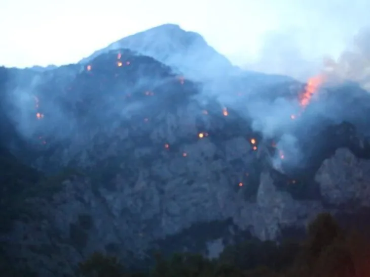 Pozar Tjentiste foca Nacionalni park Sutjeska