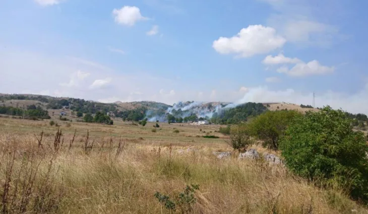 Tomislavgrad požar/ fena