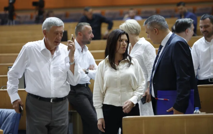 Predstavnički dom PSBiH fena