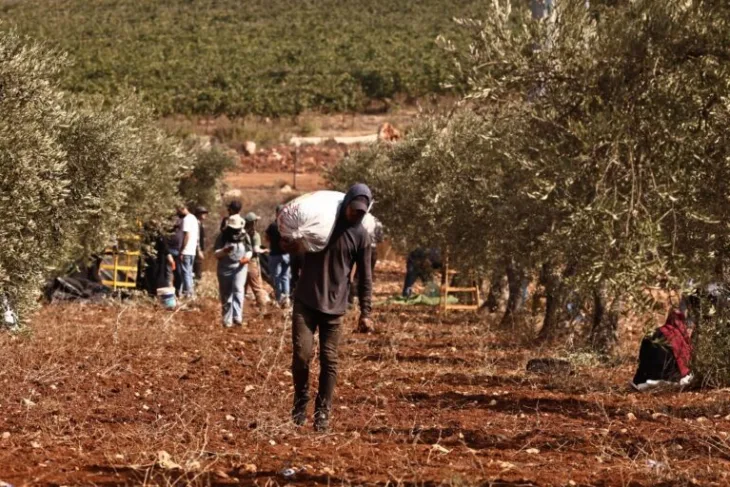 Palestina