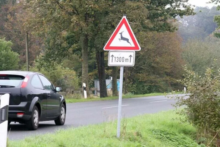 Savjeti za vozace divljač na putu