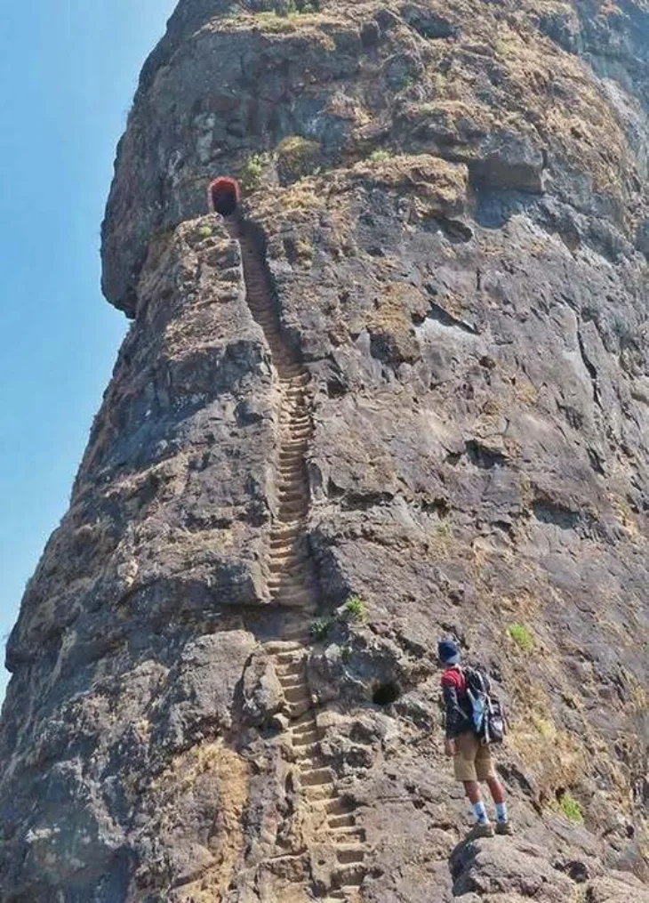 Harir kula
