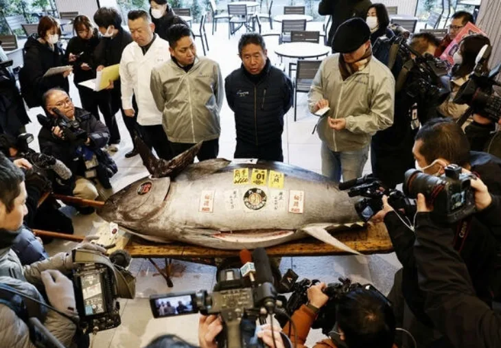 Japan tuna 1,3 miliona eura Foto: Reuters