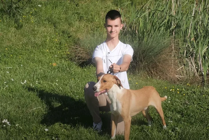 Pas iz BiH najljepši na svijetu
