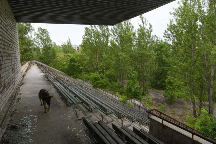 Ukrajina stadion Avanhard 1
