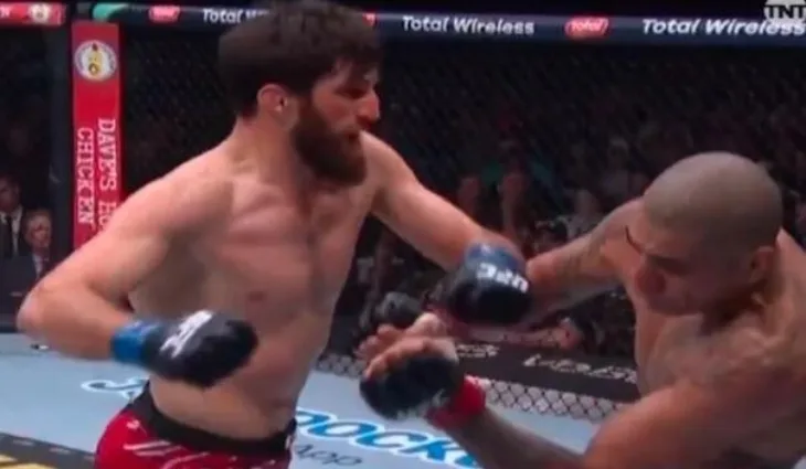 Magomed Ankalaev Alex Pereira