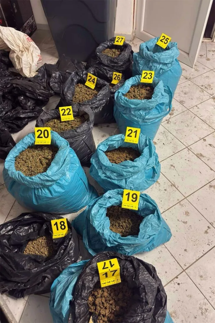 Droga srbija