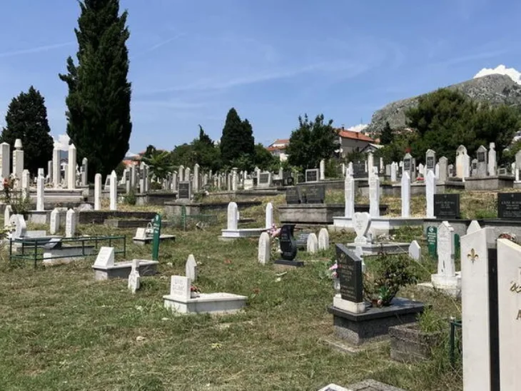 Sarica harem