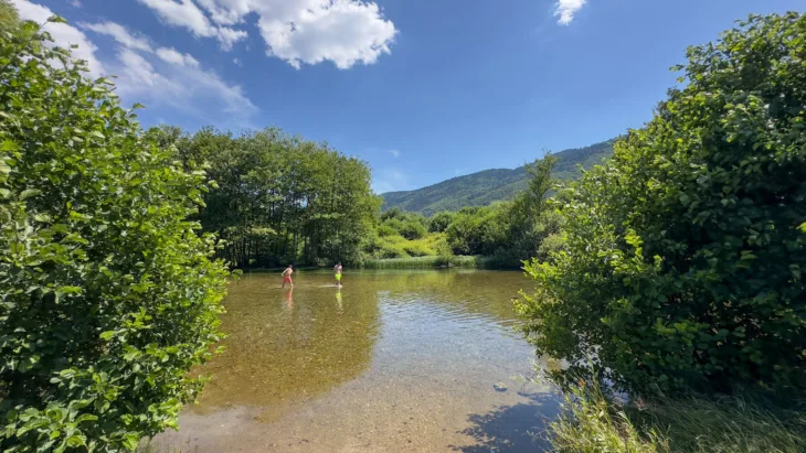 Vrelo bosne