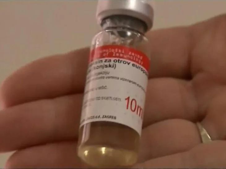 Serum Zmija