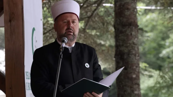 Mevludin ef Dizdarevic