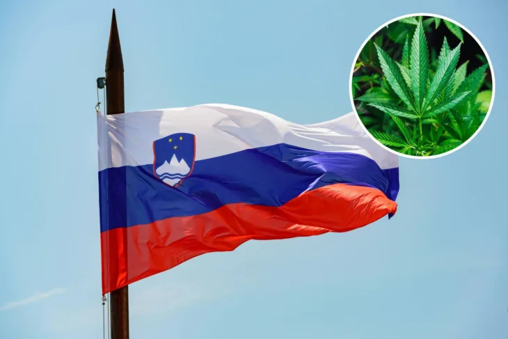 Slovenija marihuana