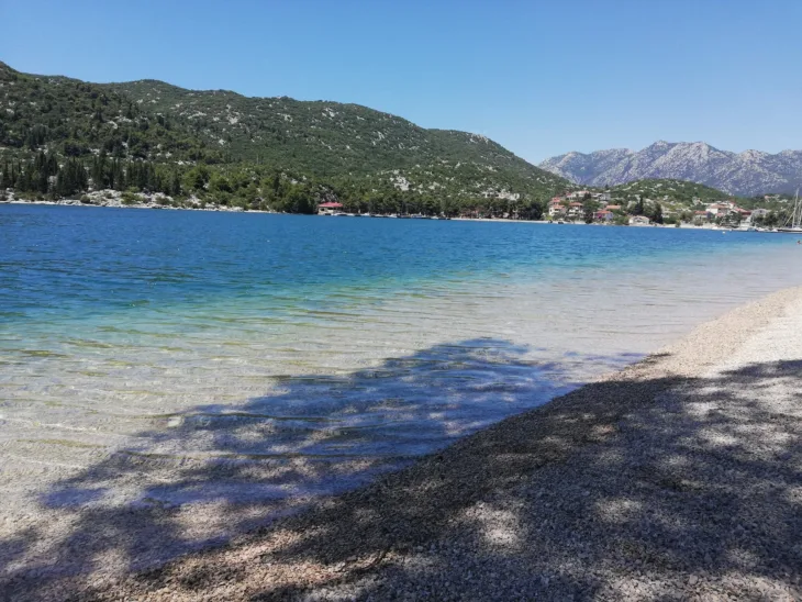 ploce morr