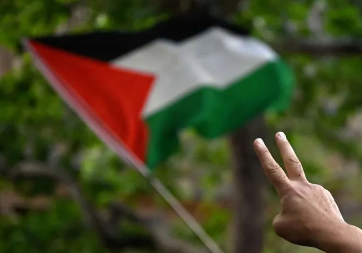 Palestina podrska protesti zastava 872x610