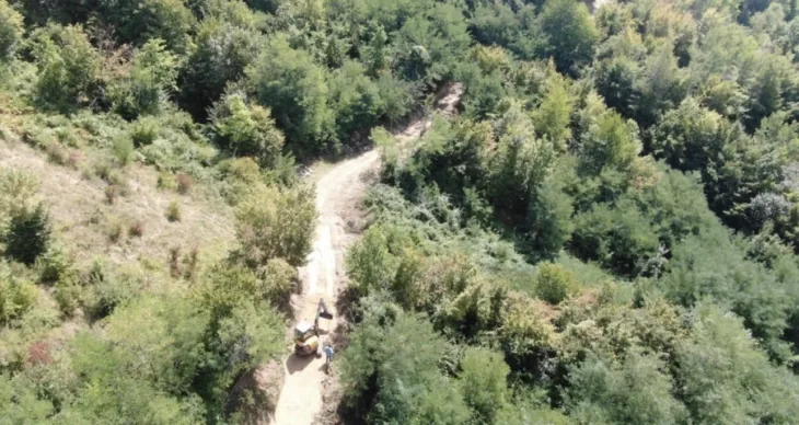 Park šume hum