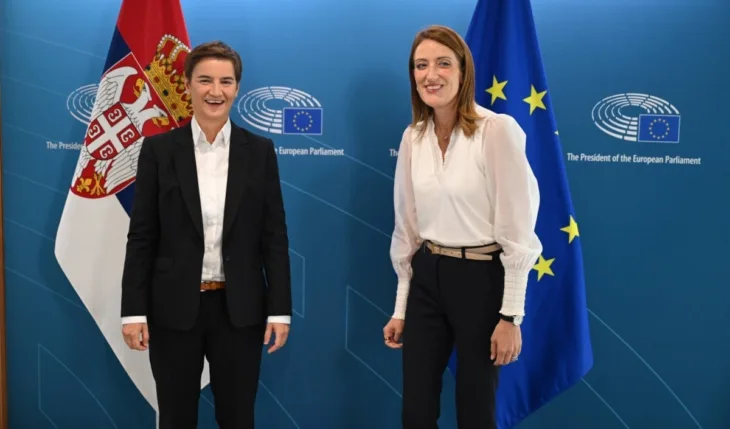 Brnabic metsoli