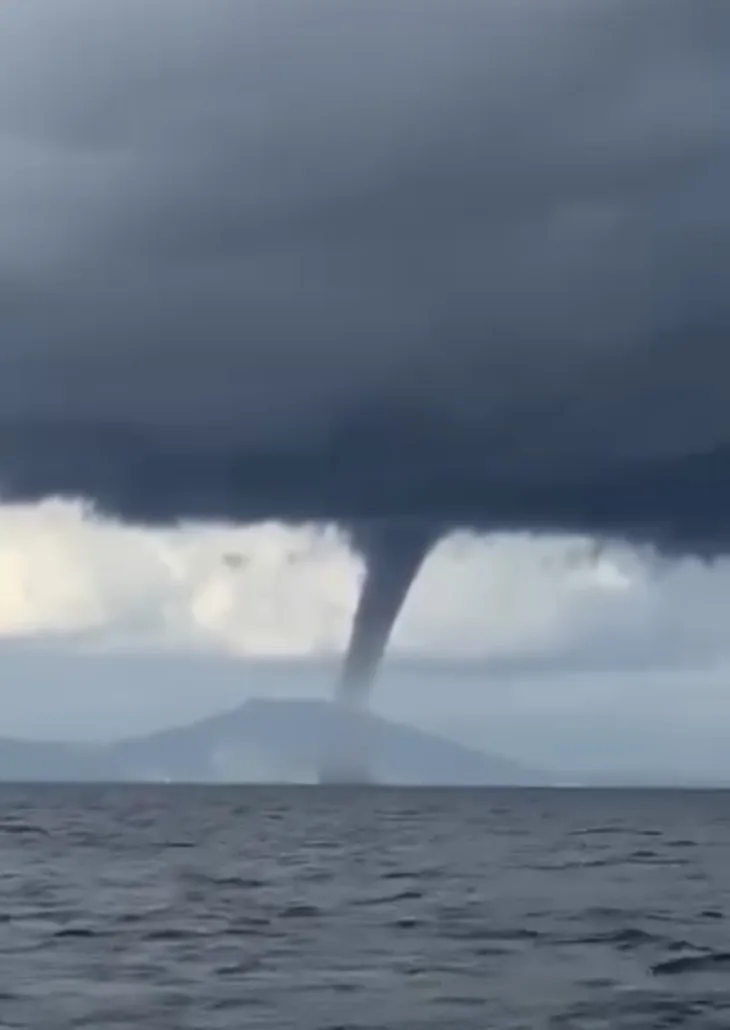 Pijavice Hrvatska