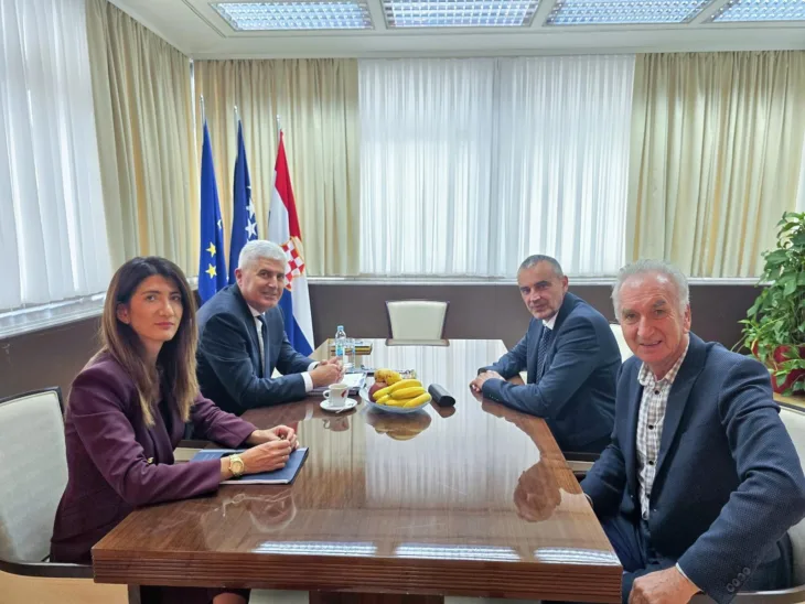 covic i hdz bih