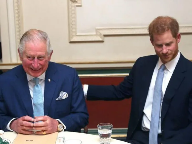 Princ Harry kralje Charles Foto: Profimedia
