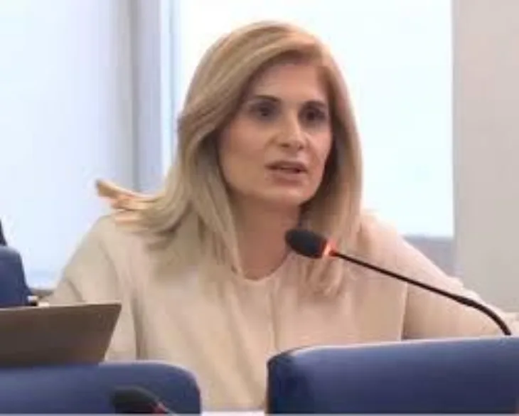 Vildana beslija