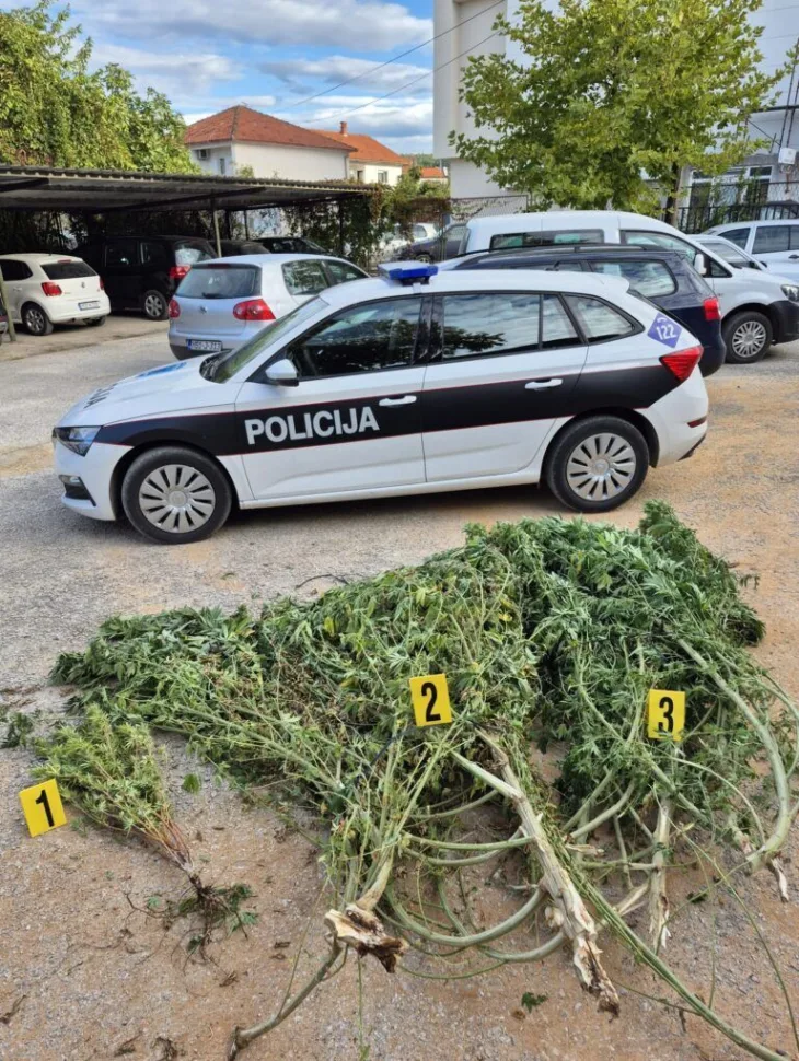 Čitluk droga
