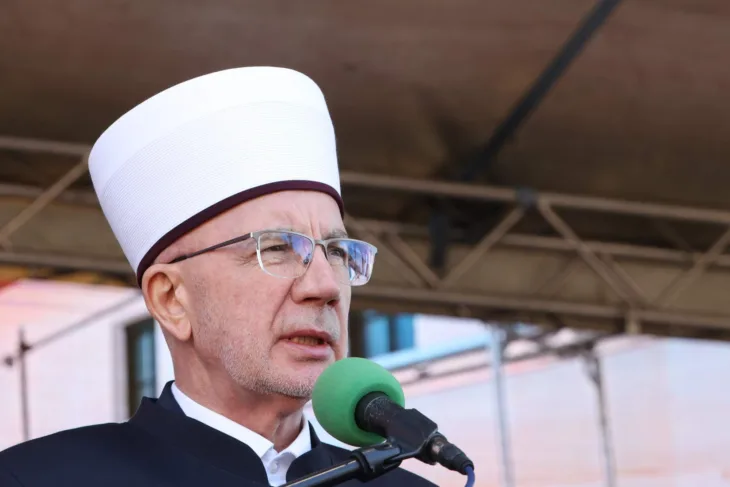 Vahid ef fazlovic vahid