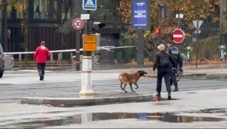 Pariz bomba tv