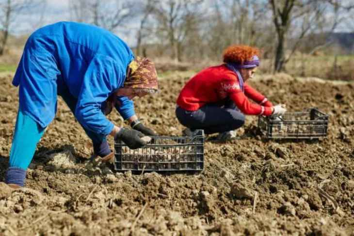 Njiva poljoprivernici radnici