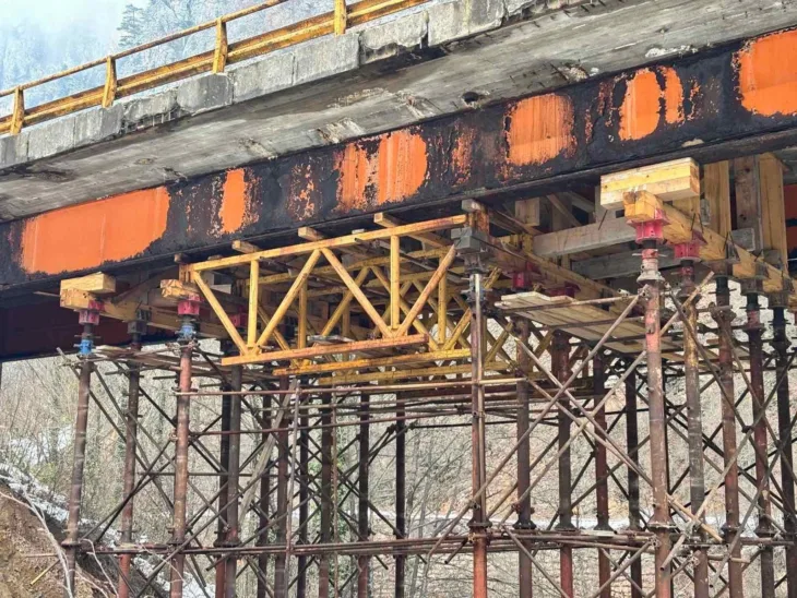 Rogatica ustipraca put