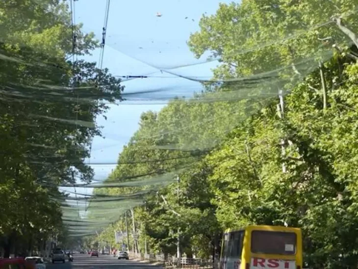 Dronevi mreze zastite