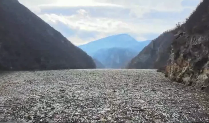 Ekoloska katastrofa u Visegrad