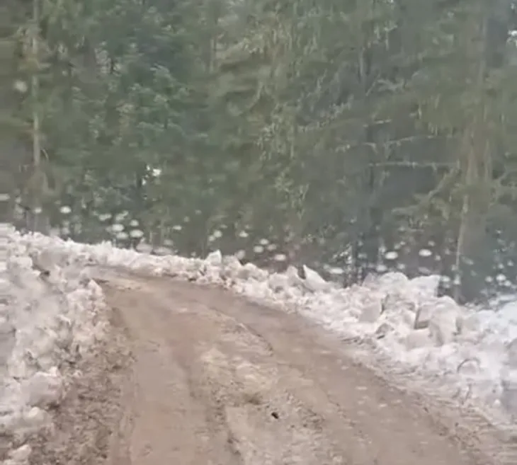 Foča alternativni put