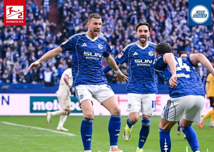 Edin Dzeko Schalke 04