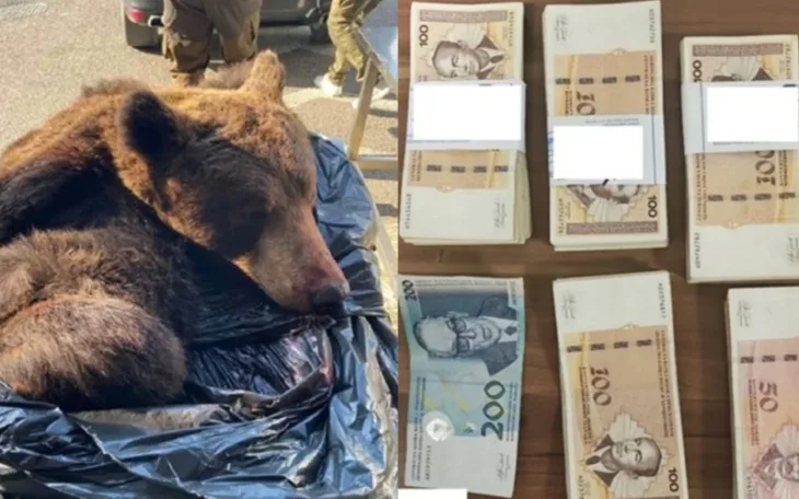 Medvjed marke granica