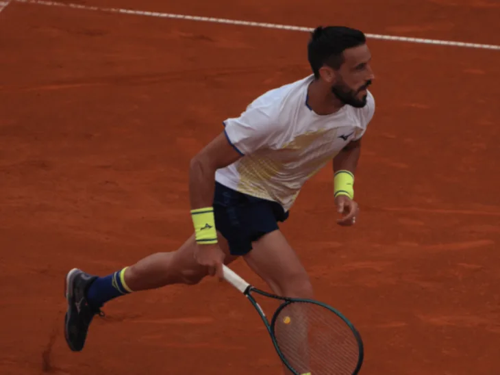 Damir Dzumhur