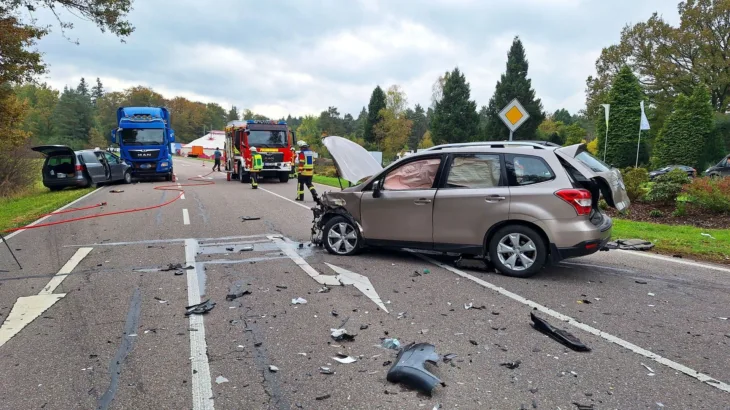 Njemačka mravi nesreća