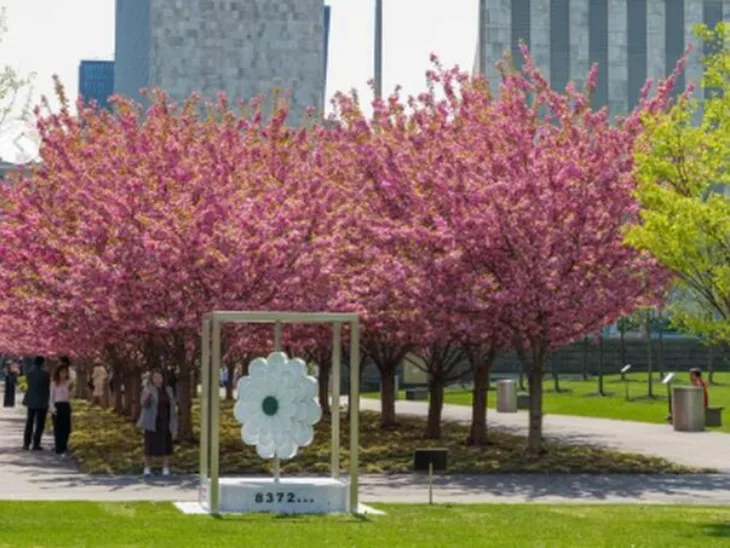 Un cvijet srebrenice 666666666666ztfhtgj 69e688db84d9a