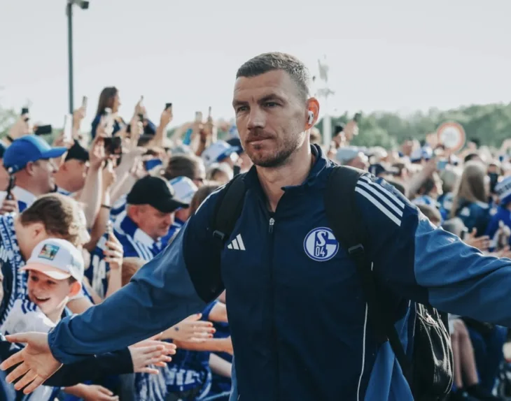 Dzeko Schalke 04