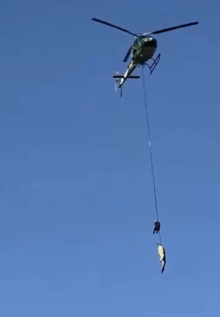 Helikopter krokodil