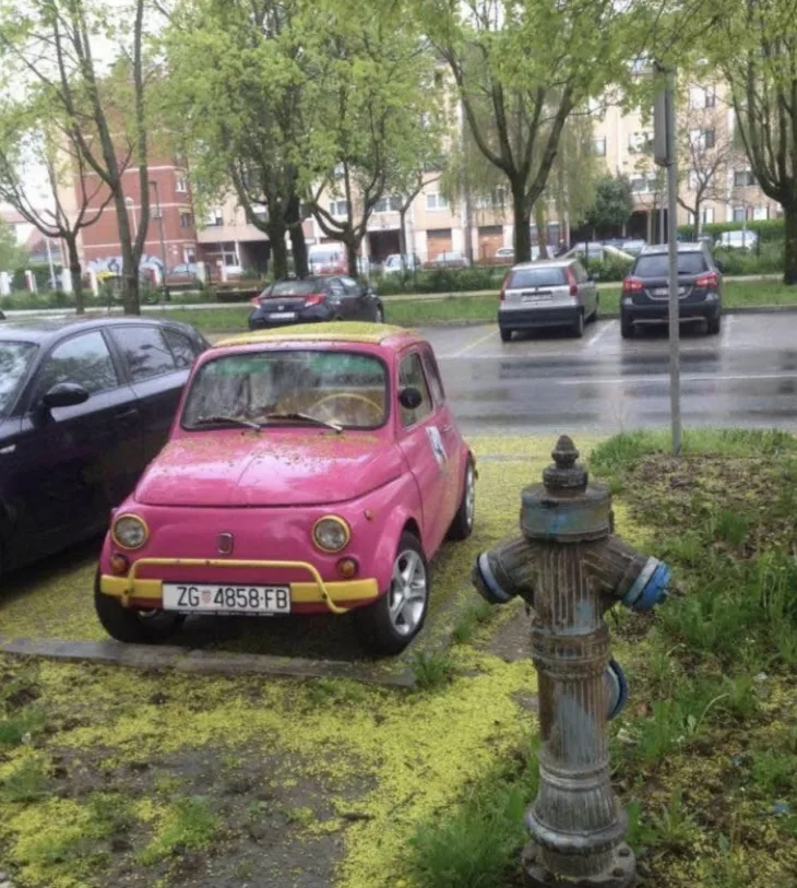 Rozi Fićo zagreb