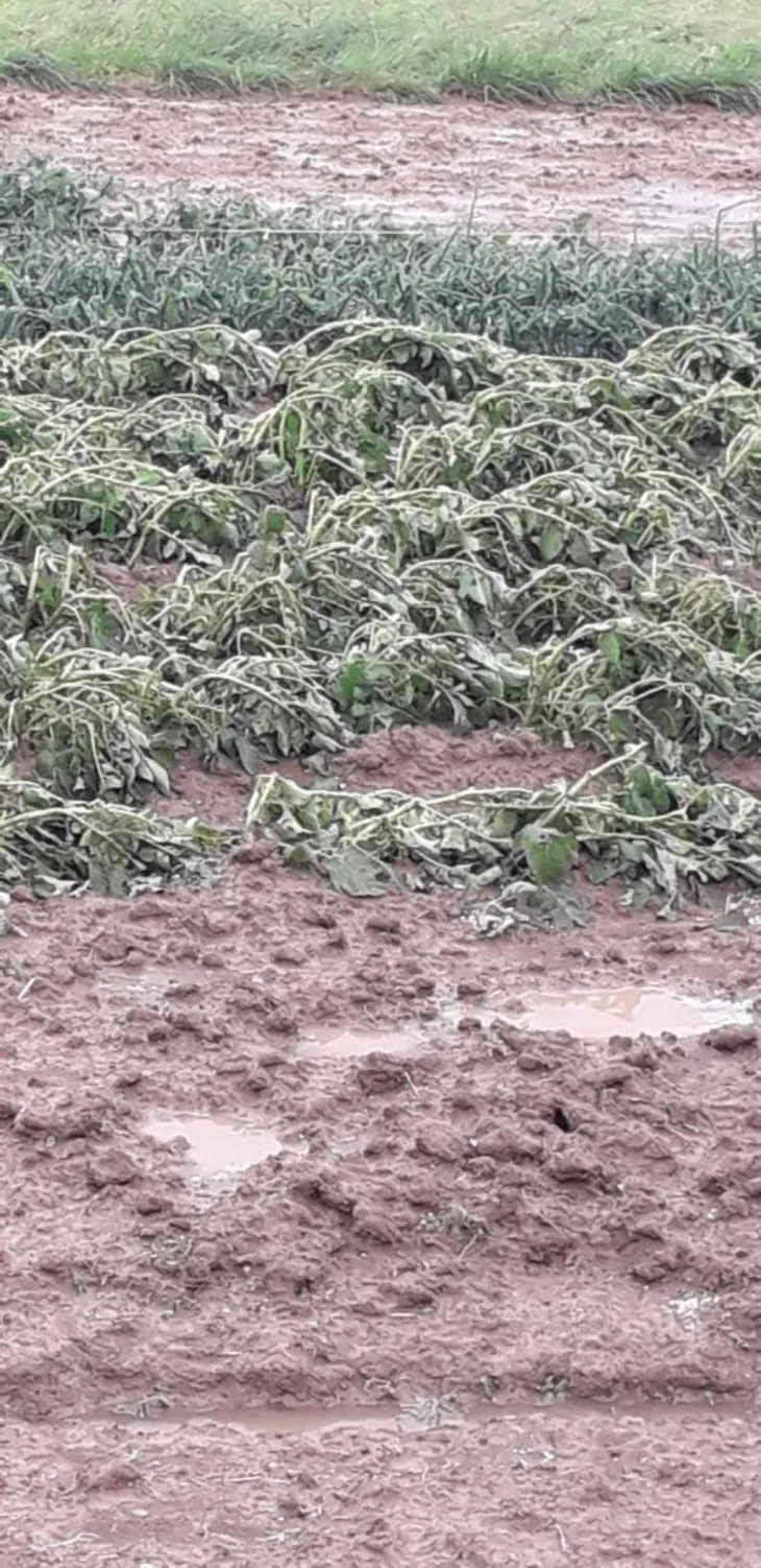 Gradacac nevrijeme/ BH Meteo
