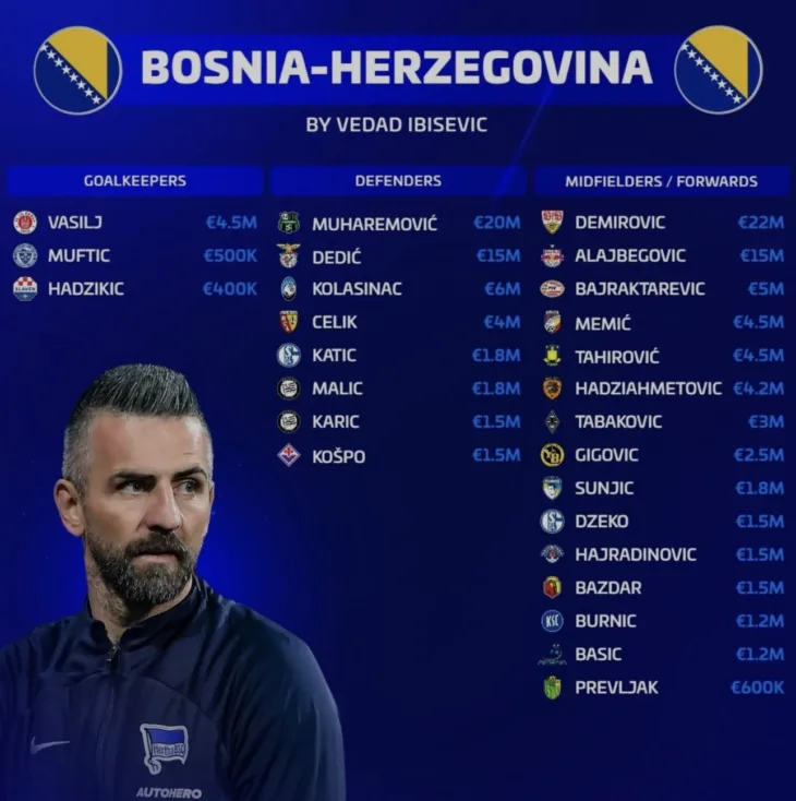 Vedad Ibisevic