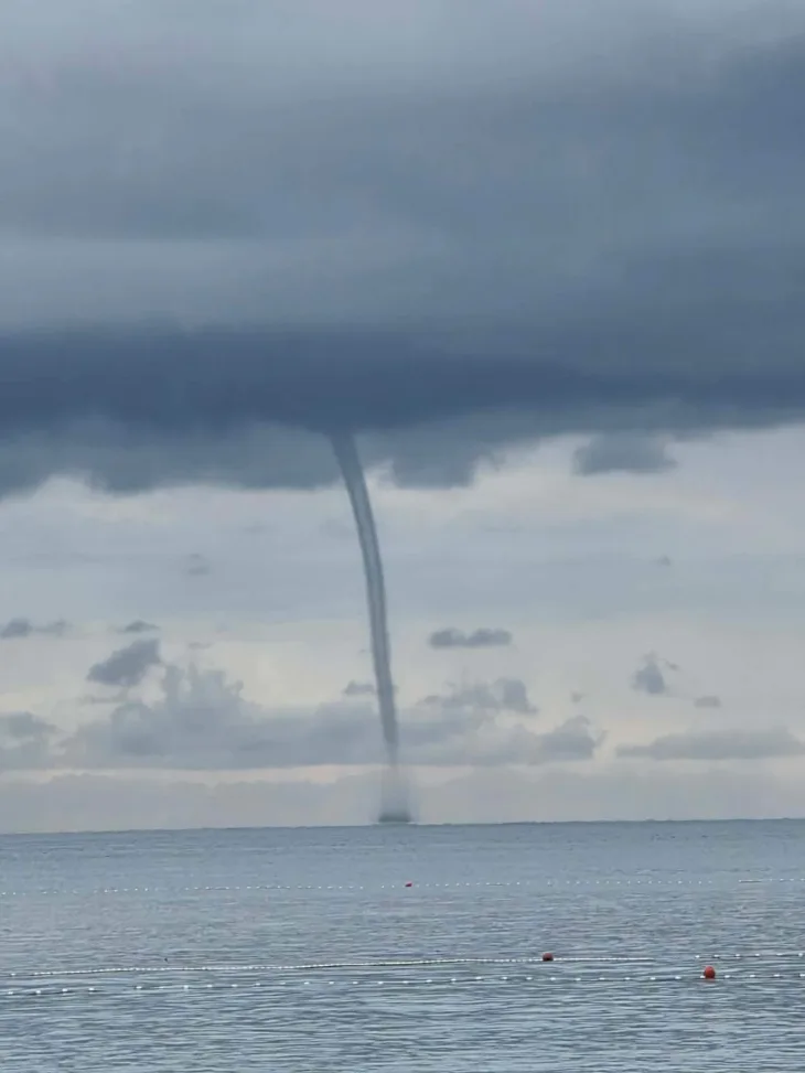 Umag pijavica