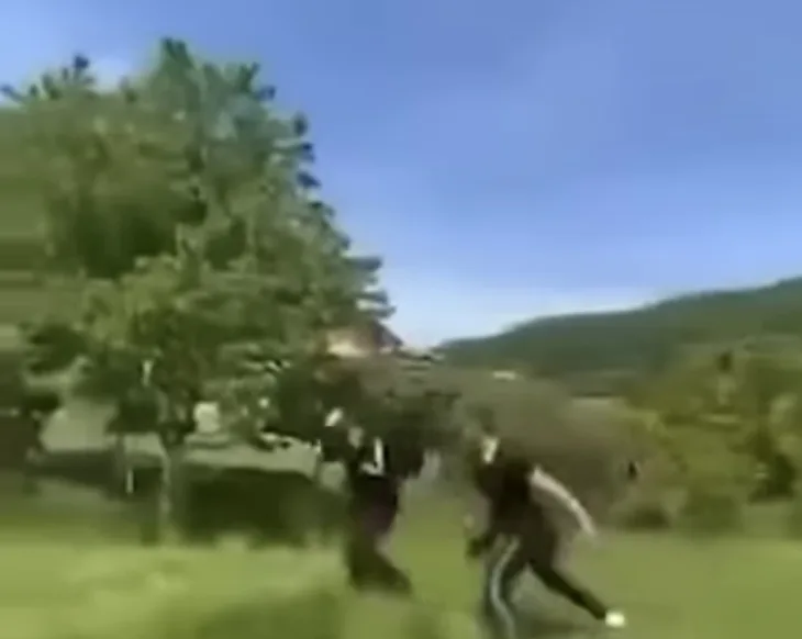 Milici vrsnjacko nasilje