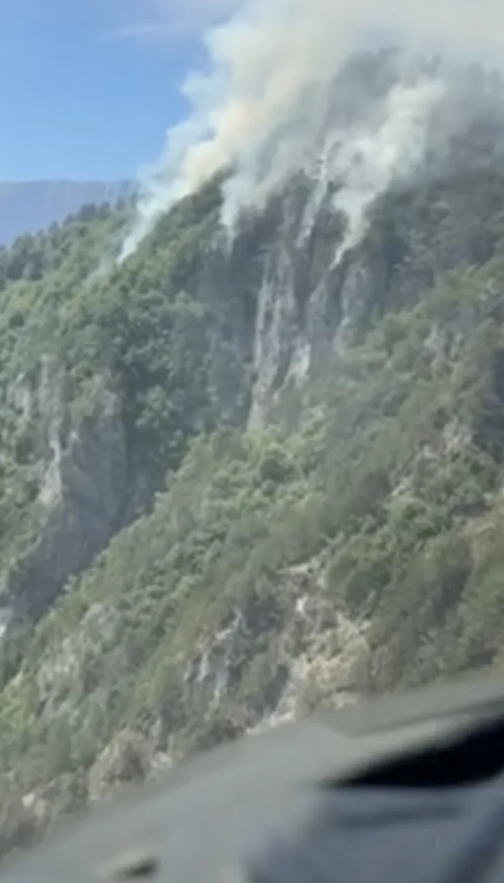 Požar jablanica