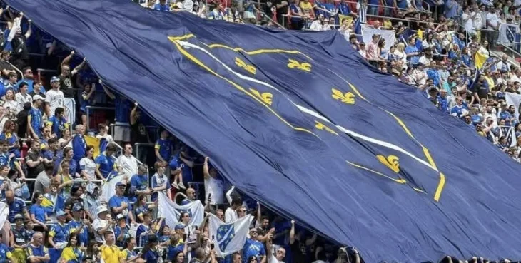 St louis zastava bosne ljiljani