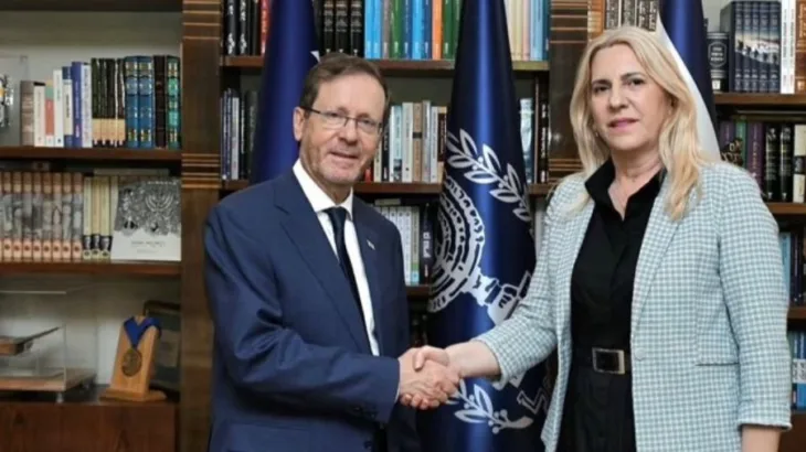 Zeljka cvijanovic i herzog